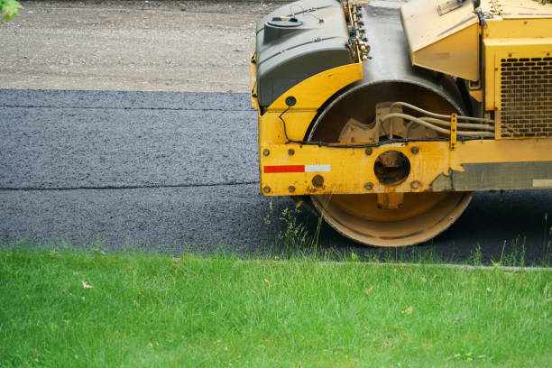 Best Driveway Border and Edging  in Raymond, WA